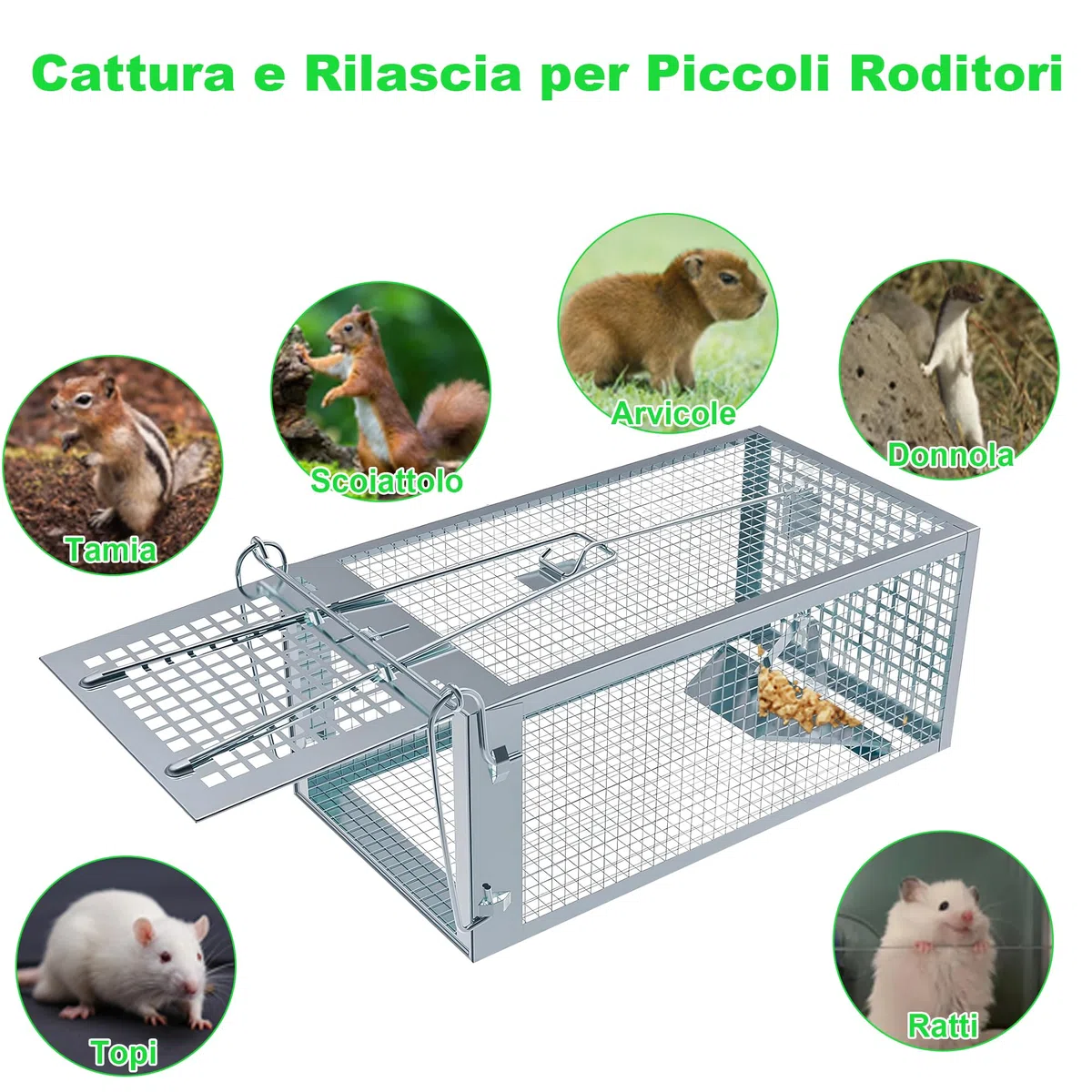 Trappola per Topi Vivi, 2 x Grande XL Gabbie Trappola per Interno e Esterno - Senza Uccidere e Riutilizzabile - Pronta all'Uso - Per Ratti e Piccoli Roditori - 27 cm x 14 cm x 12 cm