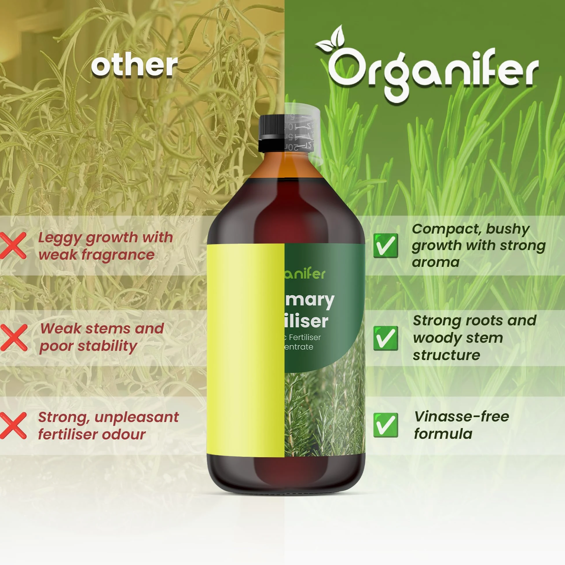 Fertilizzante Liquido Per Rosmarino 2L – Concime Organico Per Crescita Rigogliosa E Foglie Aromatiche – Rafforza Radici E Vitalità – Organifer