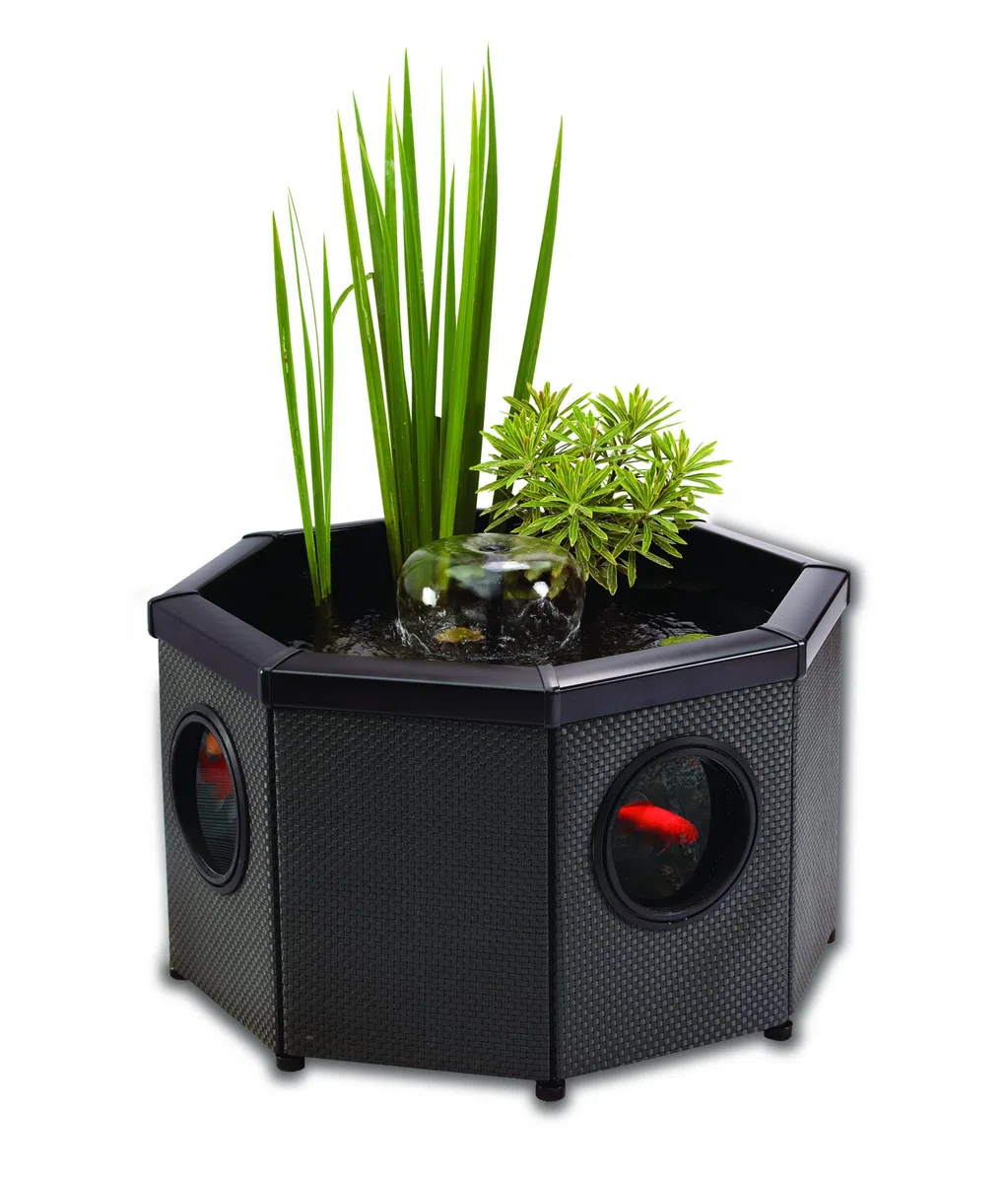 Aquagarden, Affinity Kit completo per laghetto alto con finestre, ottagonale, piscina con gioco d'acqua, tra cui Inpond 5 in 1 2000 pompa dell'acqua e stagno con chiarificatore UV, tre finestre