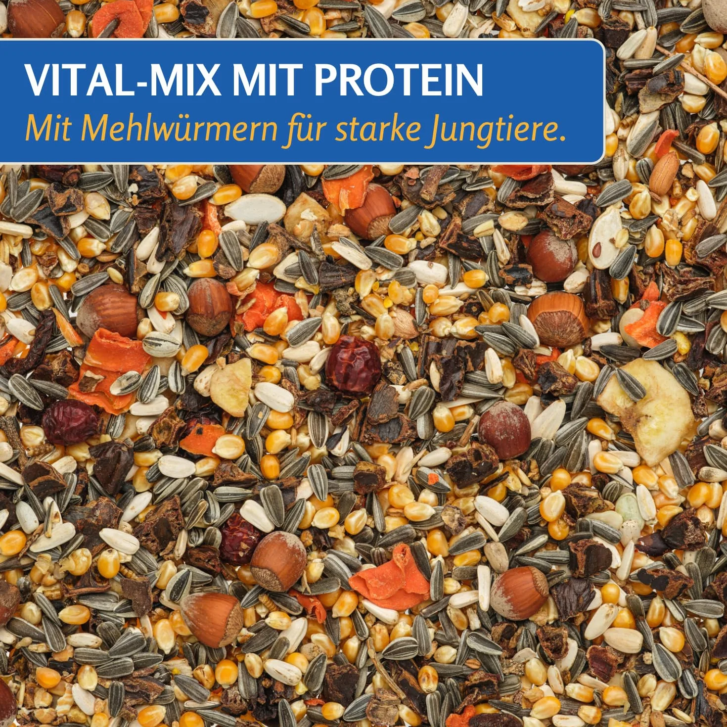 Leimüller Mangime Premium scoiattoli 5kg - Noci, Cereali & camole - Nutriente & naturale per scoiattoli e tamie - Qualità Austriaca dal 1609
