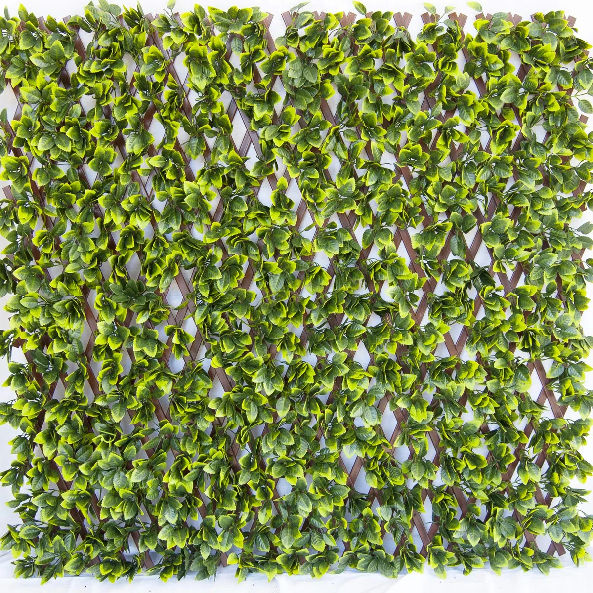 TENAX Siepe Artificiale con Foglie 3d su Traliccio Estensibile in PVC, Divy 3D Trellis, 1x2 m