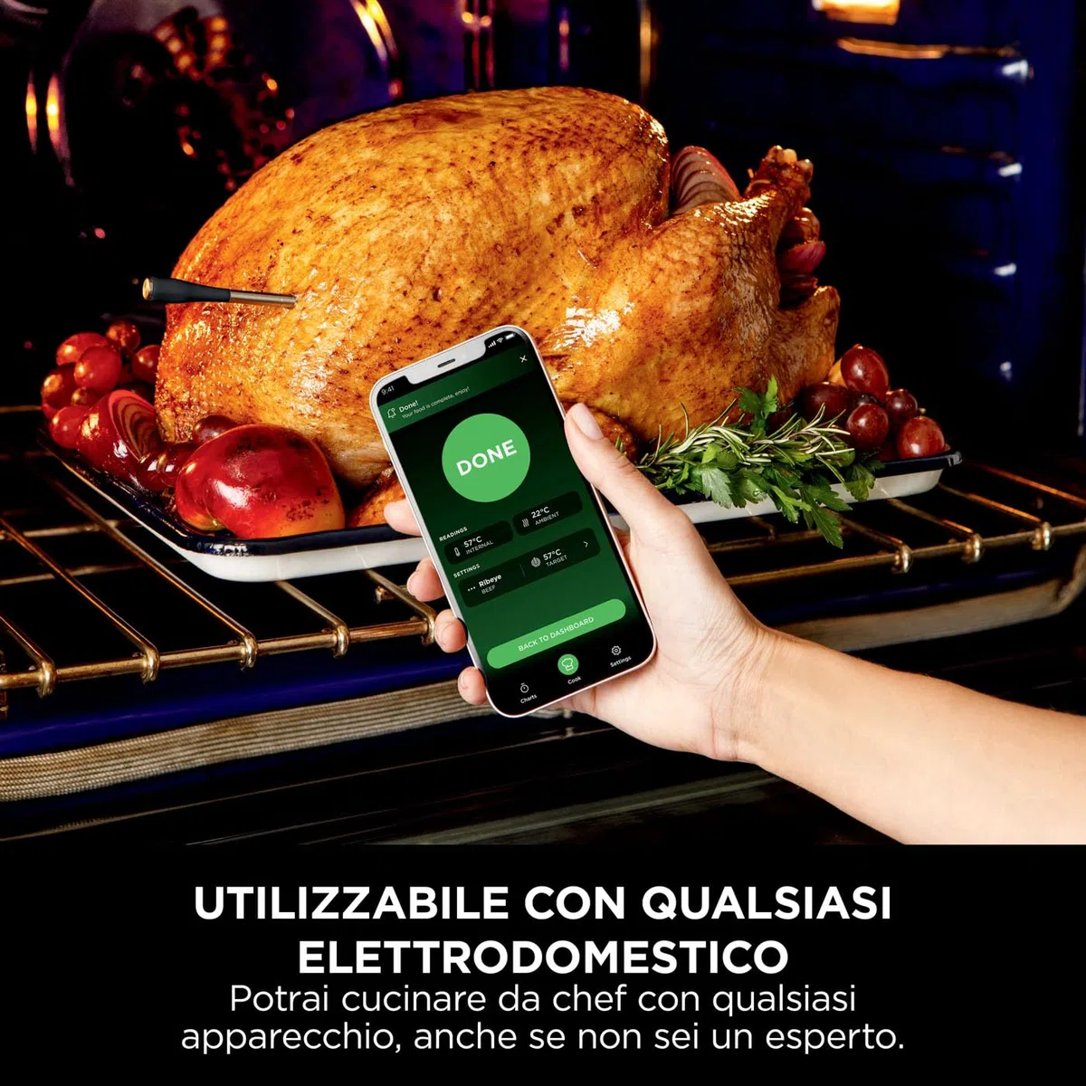 Ninja ProChef Termometro a Sonda Wireless per Carne, per Grigliare e Friggere ad Aria, con Bluetooth, Durata Batteria di 30 ore, Controllabile con App, Resistente al Calore, Impermeabile, WP100EU