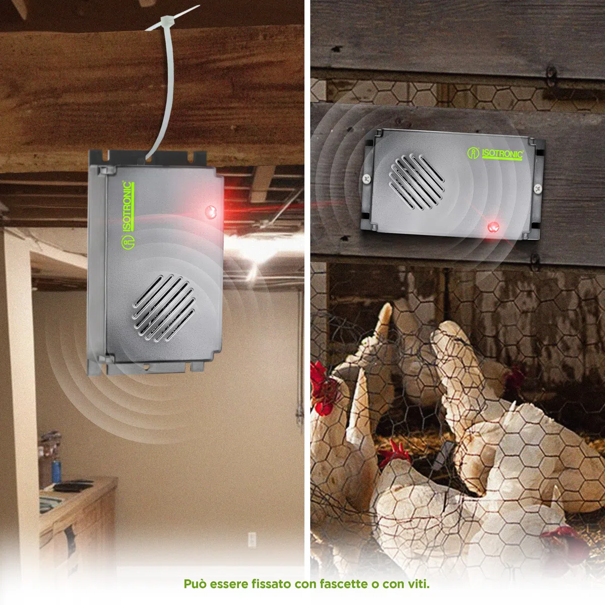 ISOTRONIC repellente topi ultrasuoni ratti disinfestante interni luce orientamento inclusa deterrente senza veleno trappola portata 30m² 1 unità efficace casa soffitta garage protezione difesa stop