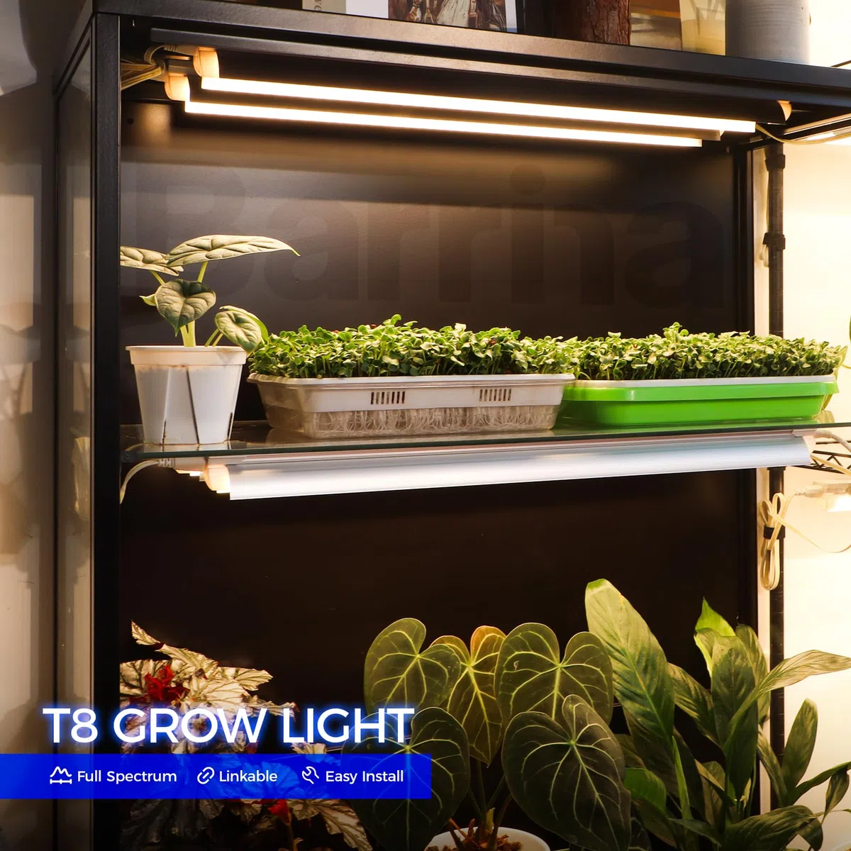 Barrina Lampadina per coltivare la luce, 96 W (4 x 24 W), spettro completo da 0,8 m, LED T8 a forma di V, luci per piante da interno, confezione da 4