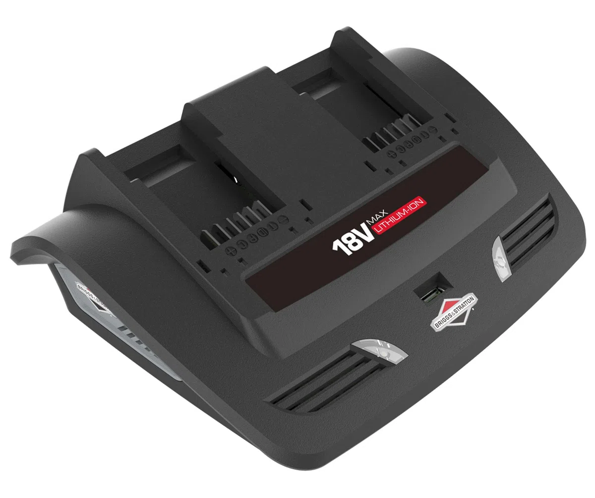 Briggs&Stratton Caricabatteria Doppio per Batterie 18V agli Ioni di Litio utlizzate sui prodotti Murray 18V, 1697084