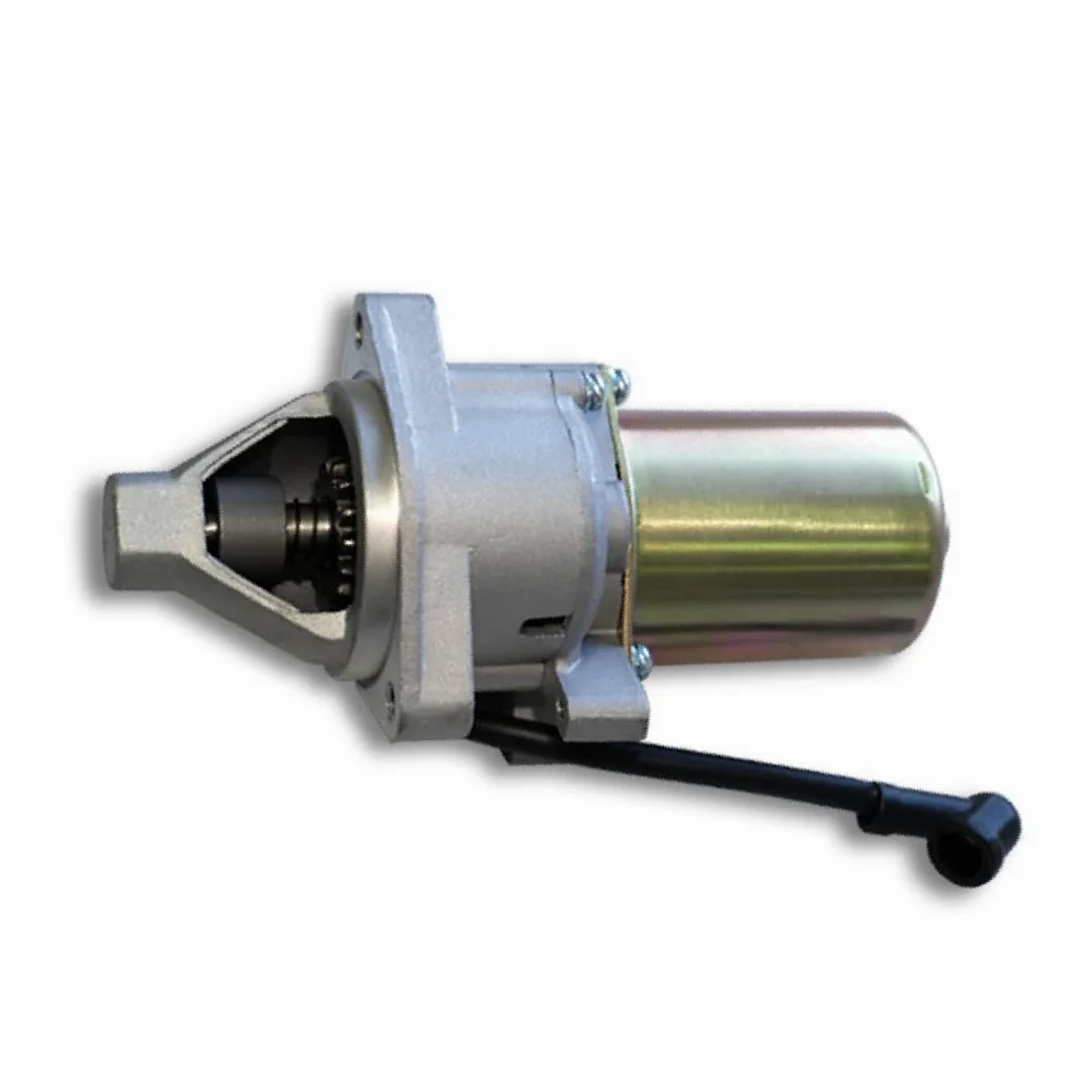 Wiltec Pezzo di Ricambio Motorino di avviamento LIFAN per Motore a Benzina 13 CV