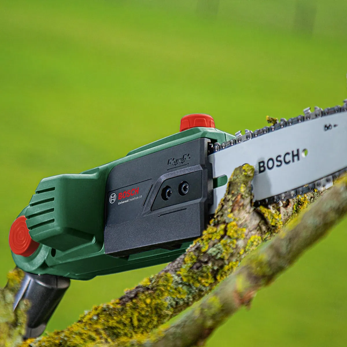Bosch UniversalChainPole (1 x 2,5 Ah), motosega telescopica