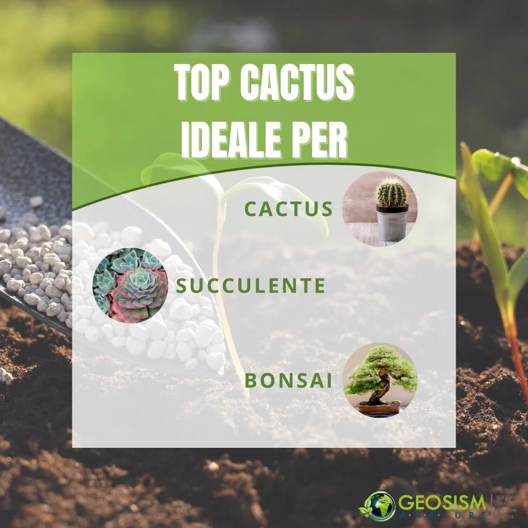 GEOSISM & NATURE - Terriccio per piante grasse, terriccio cactus, substrato professionale per cactacee e succulente, ideale per un terreno dreanto, areato, leggero e ricco di nutrienti (10 lt)
