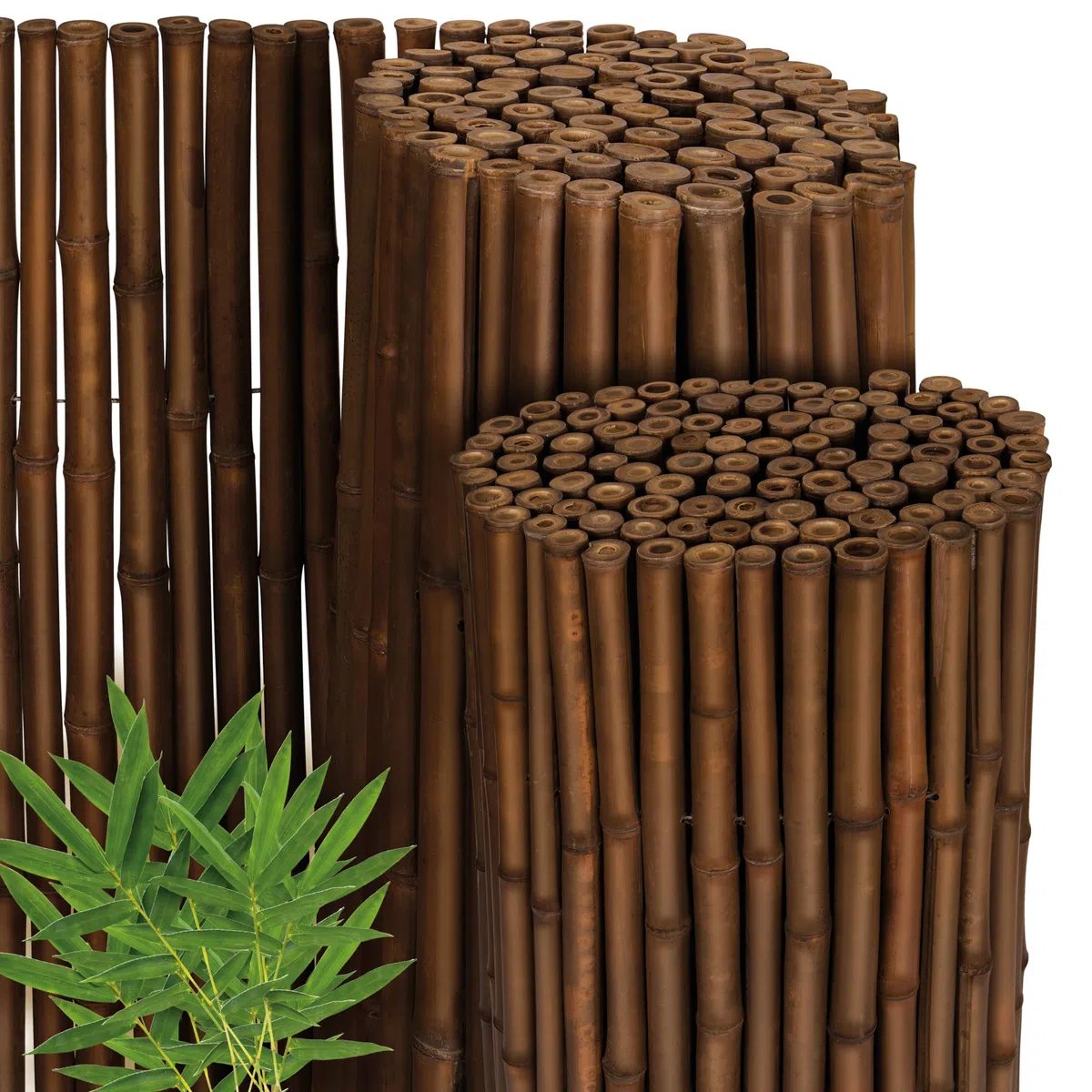 Sol Royal Premium Bamboo Fence 180x250cm B23 Dark Brown - canne di bambù indurite di Alta qualità Ø 2-3cm, Recinzione in bambù Resistente alle intemperie per Uso Interno ed Esterno