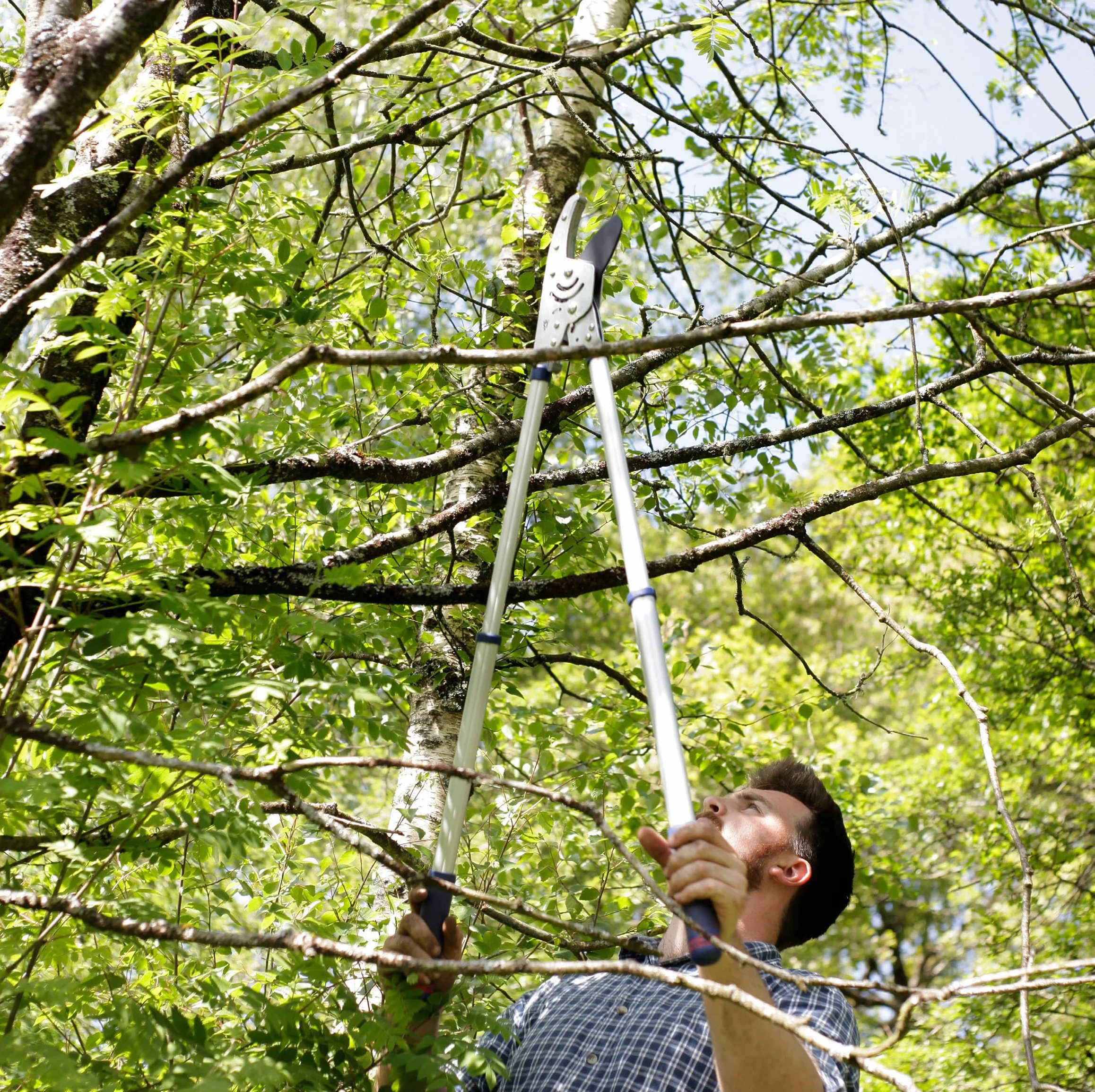 Spear & Jackson 8290RS Cesoia Troncarami a Incudine con Manici Telescopici e Meccanismo a Cricchetto, per Utilizzo Gravoso, Gamma Razorsharp