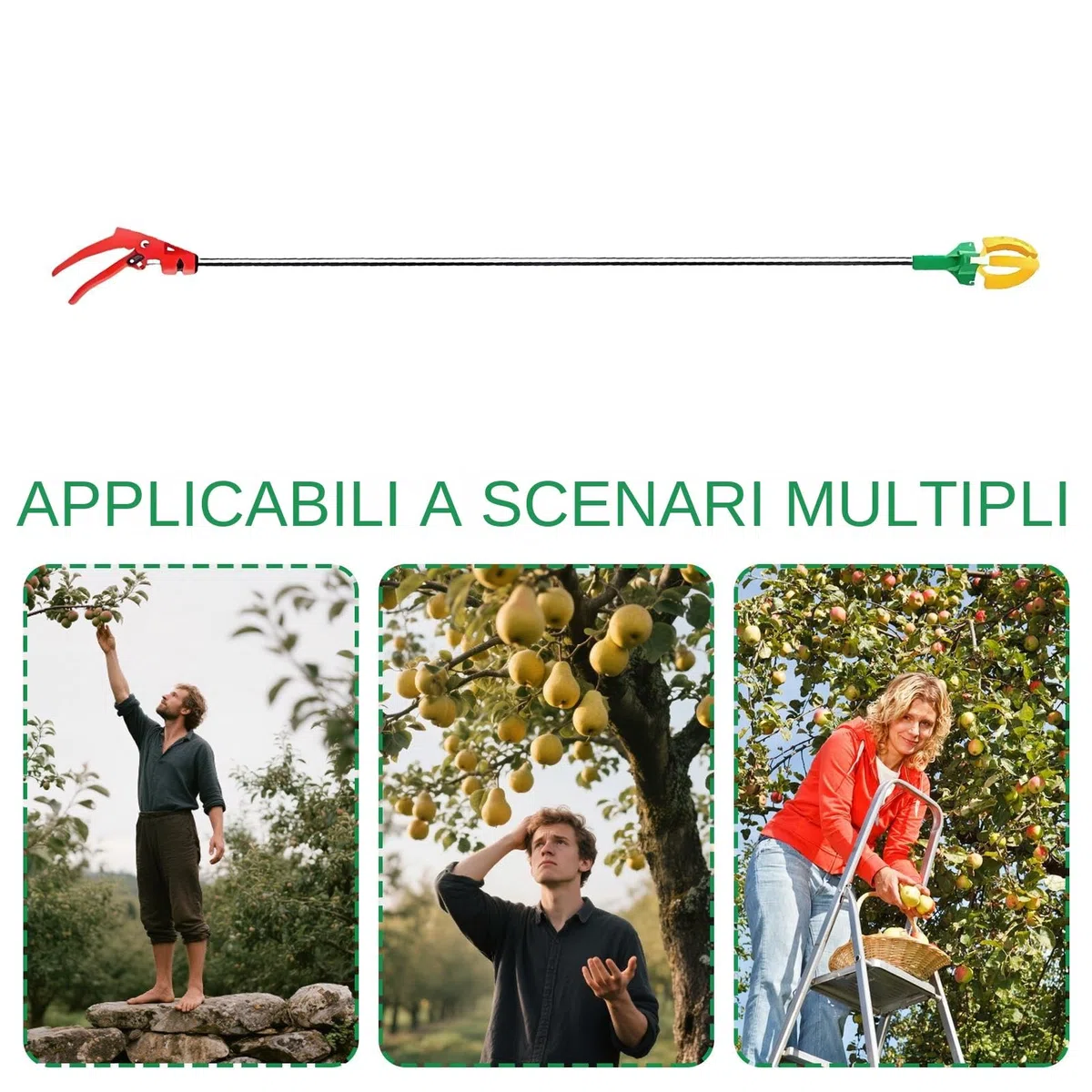 Di Frutta - 3 Metri Di Raccoglitori Di Frutta Per Alberi | Cherry Picker | Picker | Pickers Di Ciliegie Per Pere | La Raccolta Del Telescopico Può Essere Tirato Fuori | Abbigliamento Man