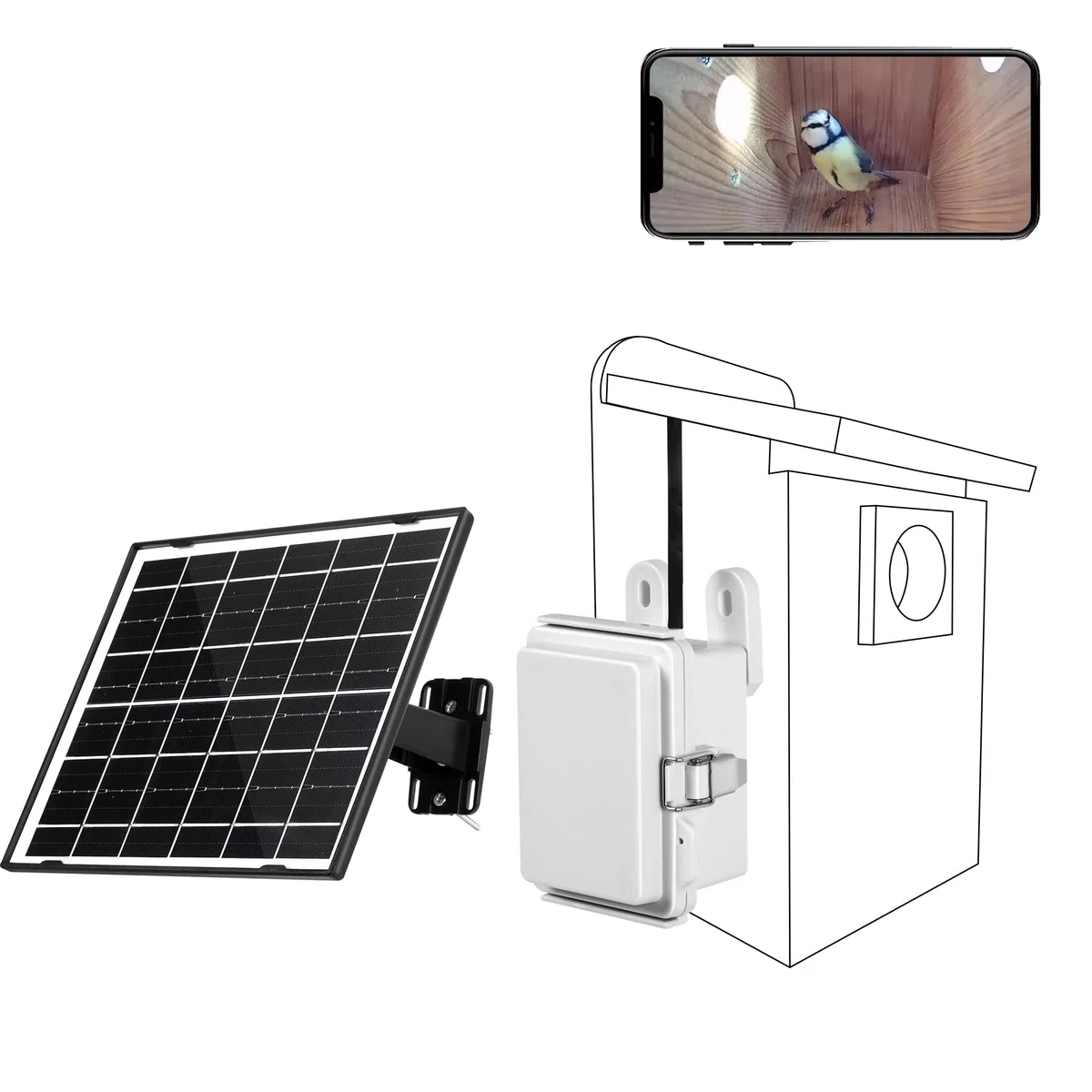 WIWACAM Telecamera solare Wi-Fi per nidificatori BirdBox