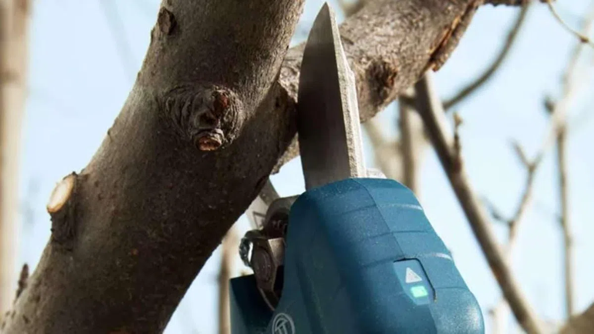BOSCH akumuliatorinis sekatorius 12V PRO PRUNER 25mm 2x3