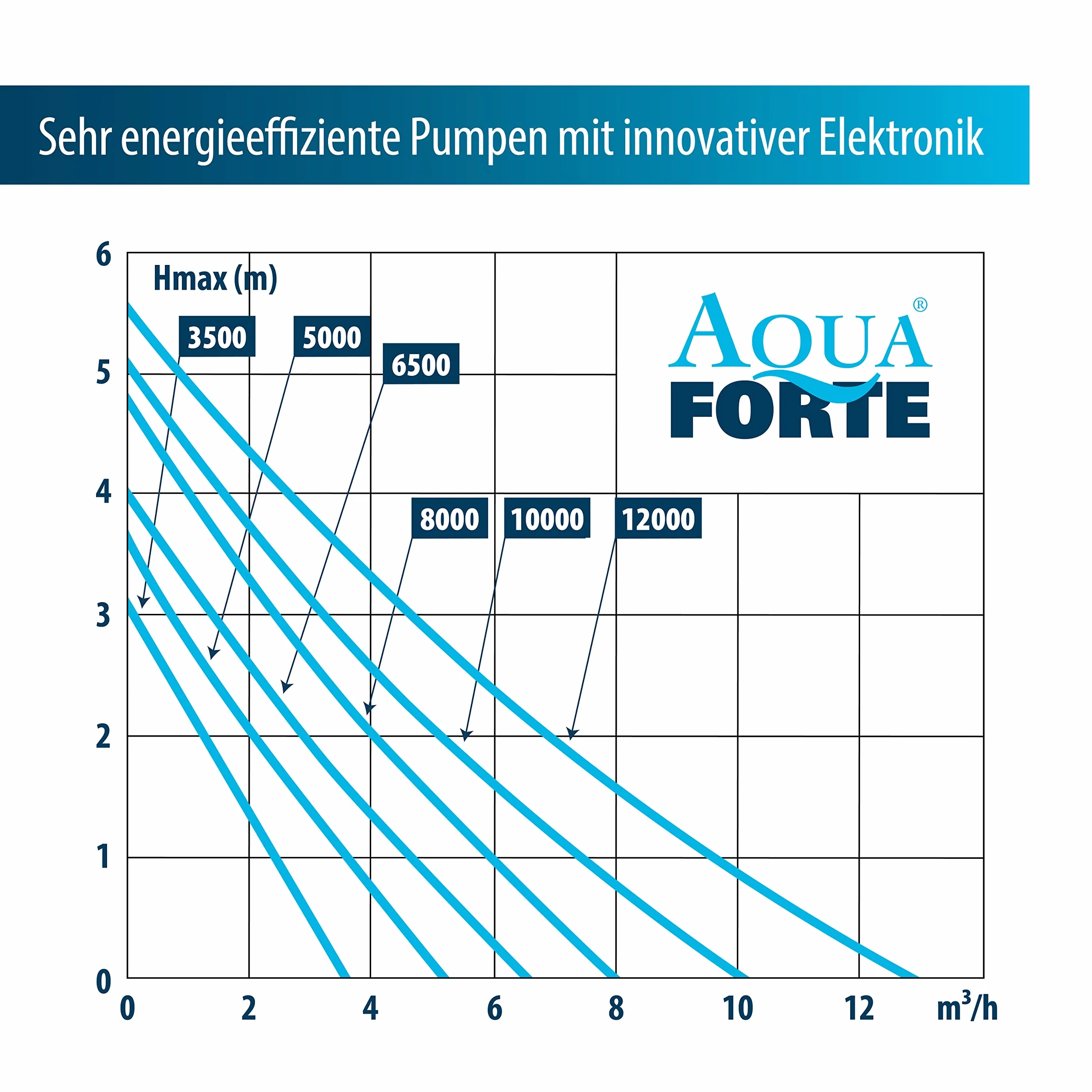 AquaForte – Pompa per filtro/laghetto dm10000 12 Volt. 10 m³/h, altezza: 5 m, 85 Watt