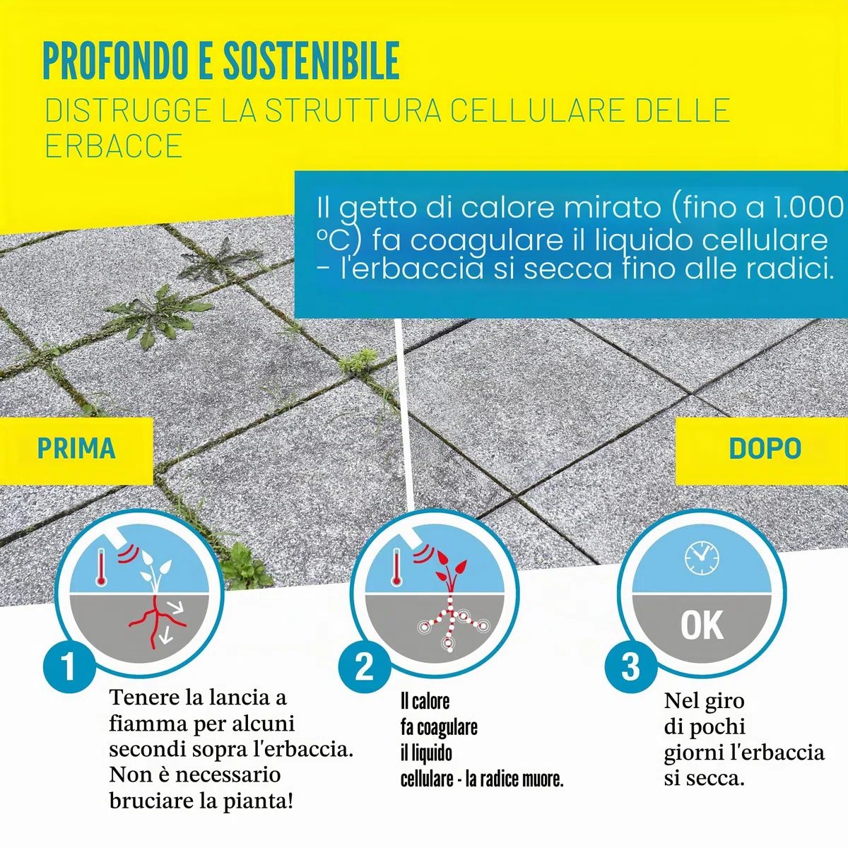 Gloria Thermoflamm BIO Professional Plus Set - diserbante Gas | Potente & Durevole | per Grandi Aree | Collegamento bombola Gas compresso | per Giardino e marciapiedi Senza Erbacce