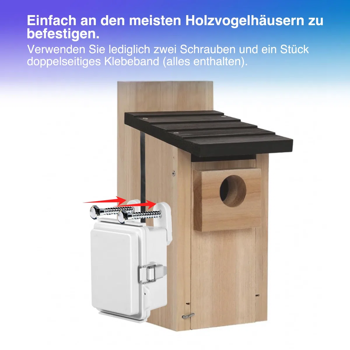 WIWACAM Telecamera solare Wi-Fi per nidificatori BirdBox
