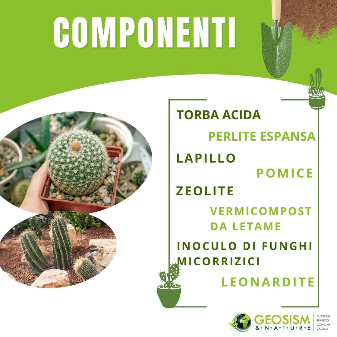 GEOSISM & NATURE - Terriccio per piante grasse, terriccio cactus, substrato professionale per cactacee e succulente, ideale per un terreno dreanto, areato, leggero e ricco di nutrienti (10 lt)