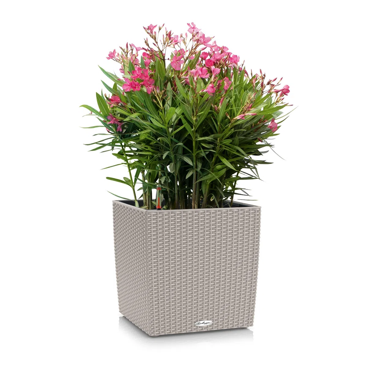 LECHUZA CUBE Cottage 50 marrone sabbia 15396