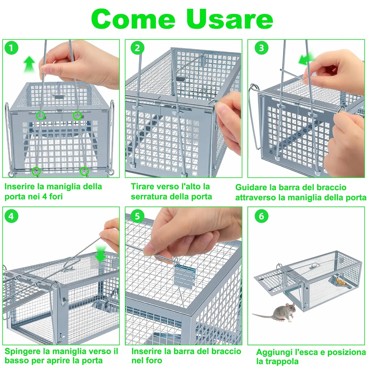Trappola per Topi Vivi, 2 x Grande XL Gabbie Trappola per Interno e Esterno - Senza Uccidere e Riutilizzabile - Pronta all'Uso - Per Ratti e Piccoli Roditori - 27 cm x 14 cm x 12 cm