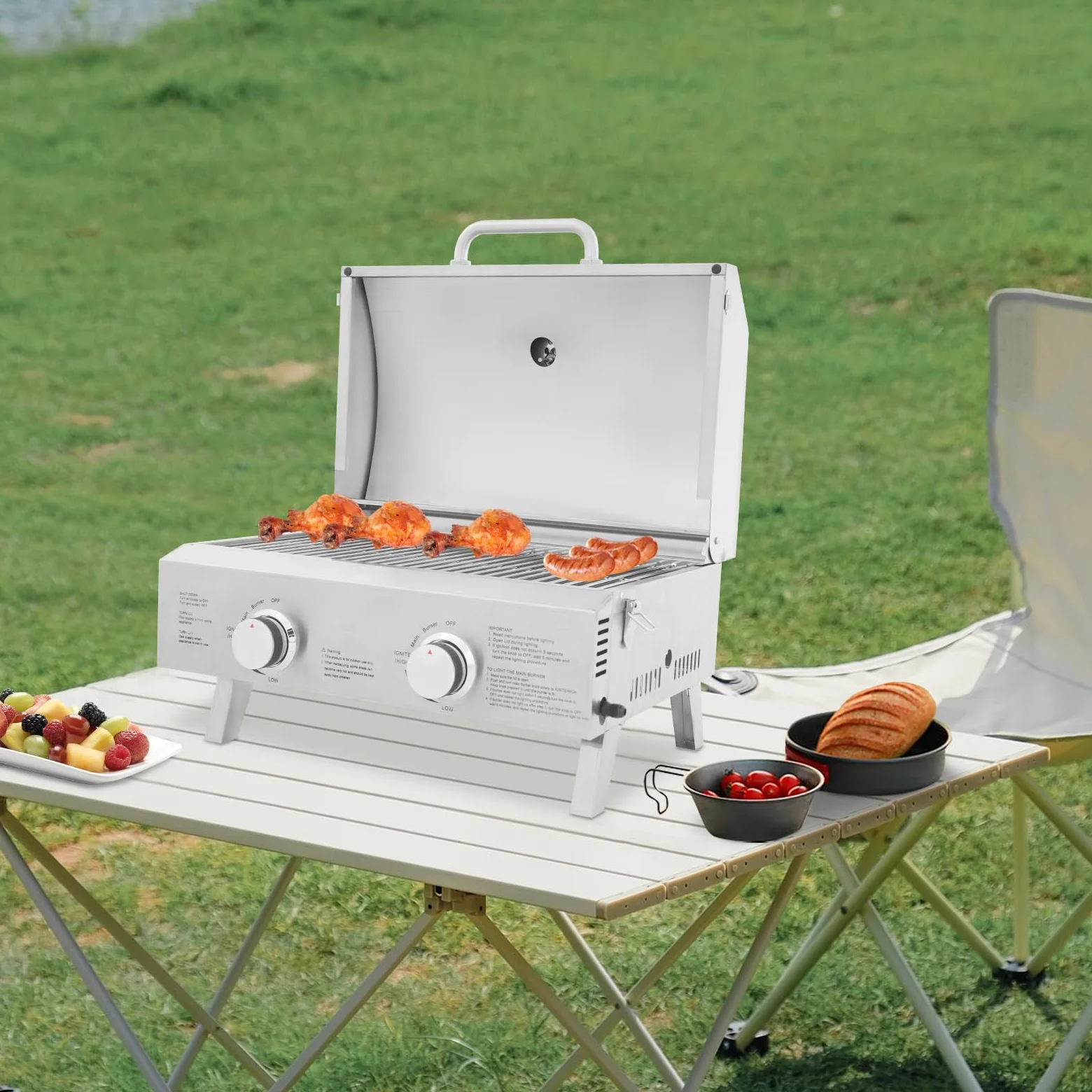 Barbecue a gas in acciaio inox, portatile con 2 fuochi, griglia pieghevole per cortile, giardino, terrazza e picnic, 22 x 18 x 15 pollici