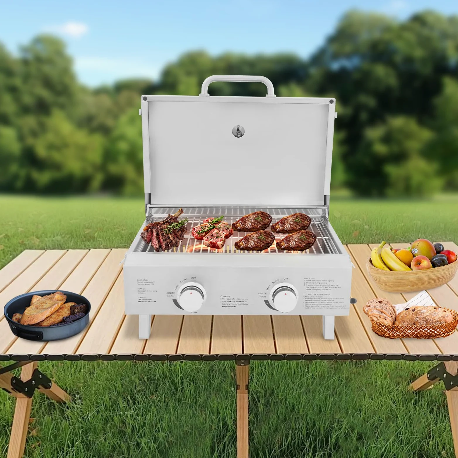Barbecue a gas in acciaio inox, portatile con 2 fuochi, griglia pieghevole per cortile, giardino, terrazza e picnic, 22 x 18 x 15 pollici