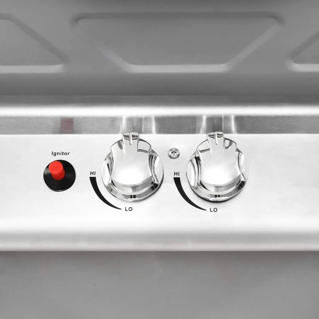 Homgoday Barbecue a gas con 2 zone di cottura, in acciaio inox, colore argento