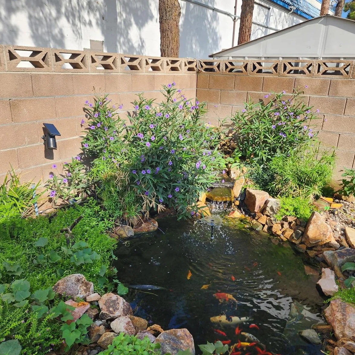Fodera per Laghetto in HDPE Telo per Laghetto 10x12m 15x15m 1x2m 3x4m 5x6m 7x8m Giardini Acquatici Rivestimento per Laghetti Resistente Ai Raggi UV 0.12mm Spessore(5x10m)