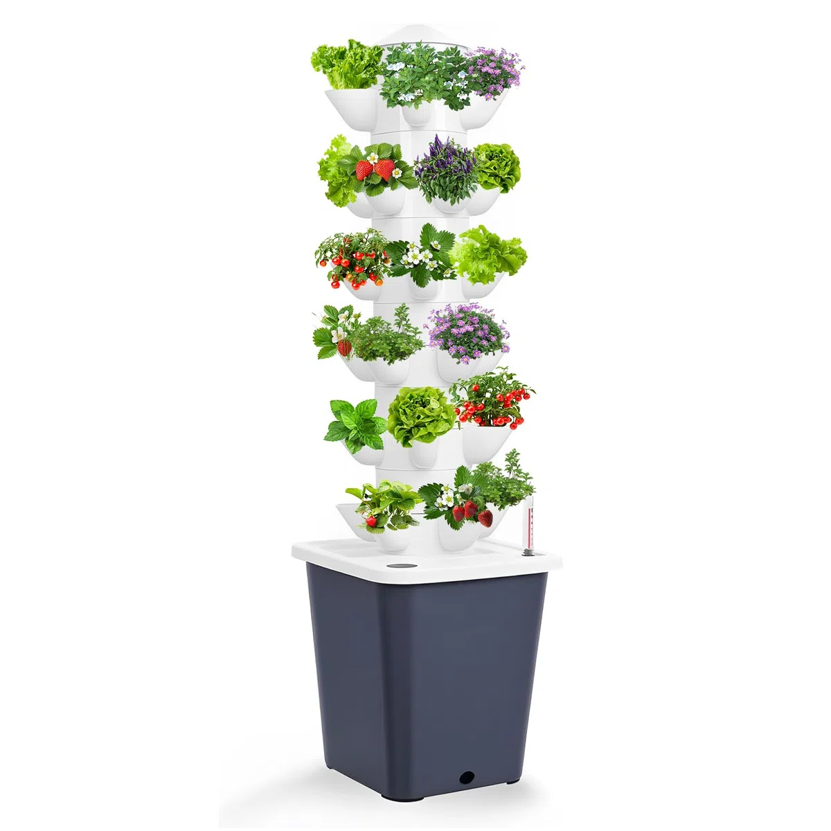 Sistema di coltivazione idroponica 30 baccelli Giardino a torre idroponica per erbe, frutta e verdure da interno, kit di coltivazione aeroponica con pompa idratante e serbatoio d'acqua mobile per gli