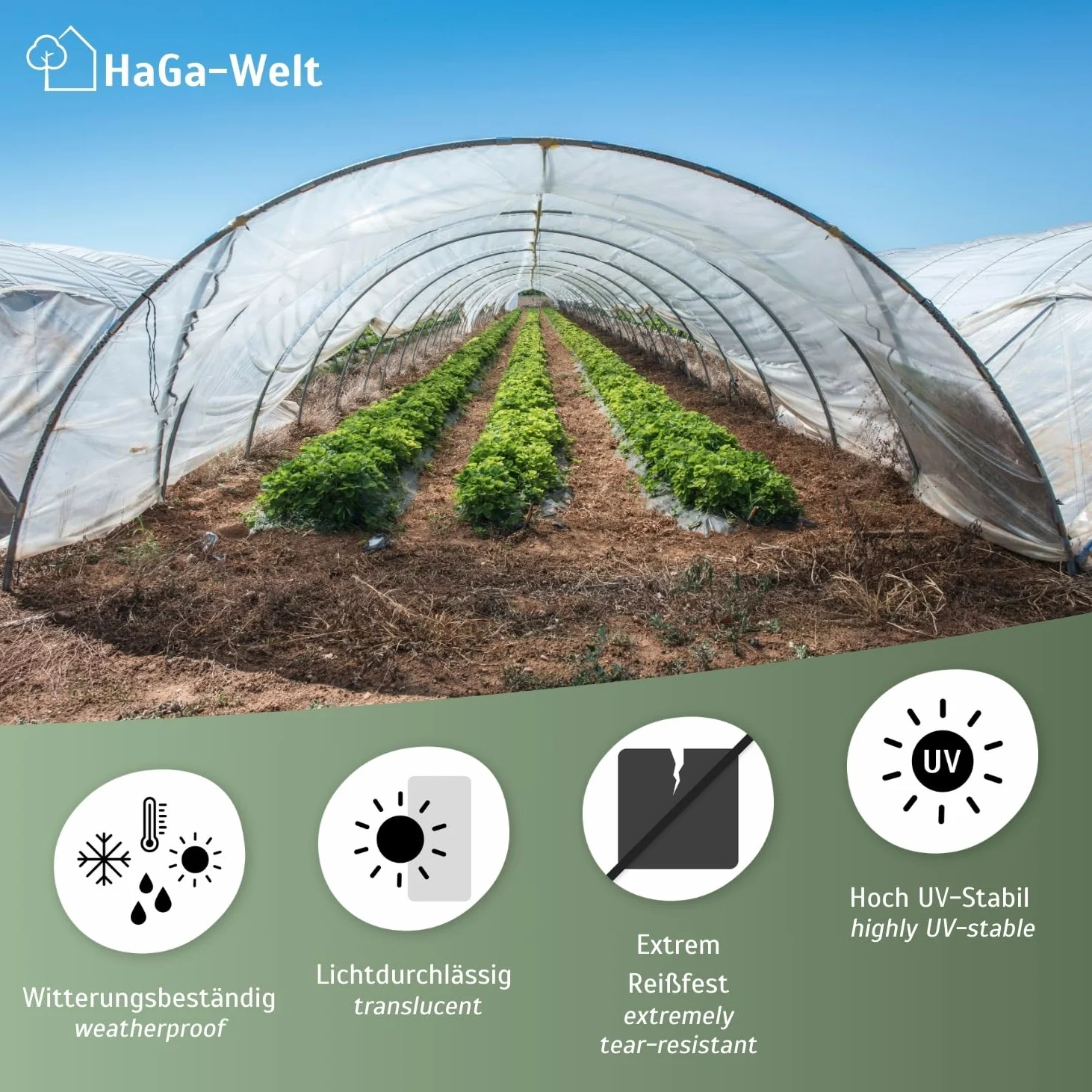 HaGa Pellicola per serra UV5, 6 m x 10 m, in polietilene trasparente, come tunnel di pellicola, serra, pomodori, resistente alle intemperie, ai raggi UV