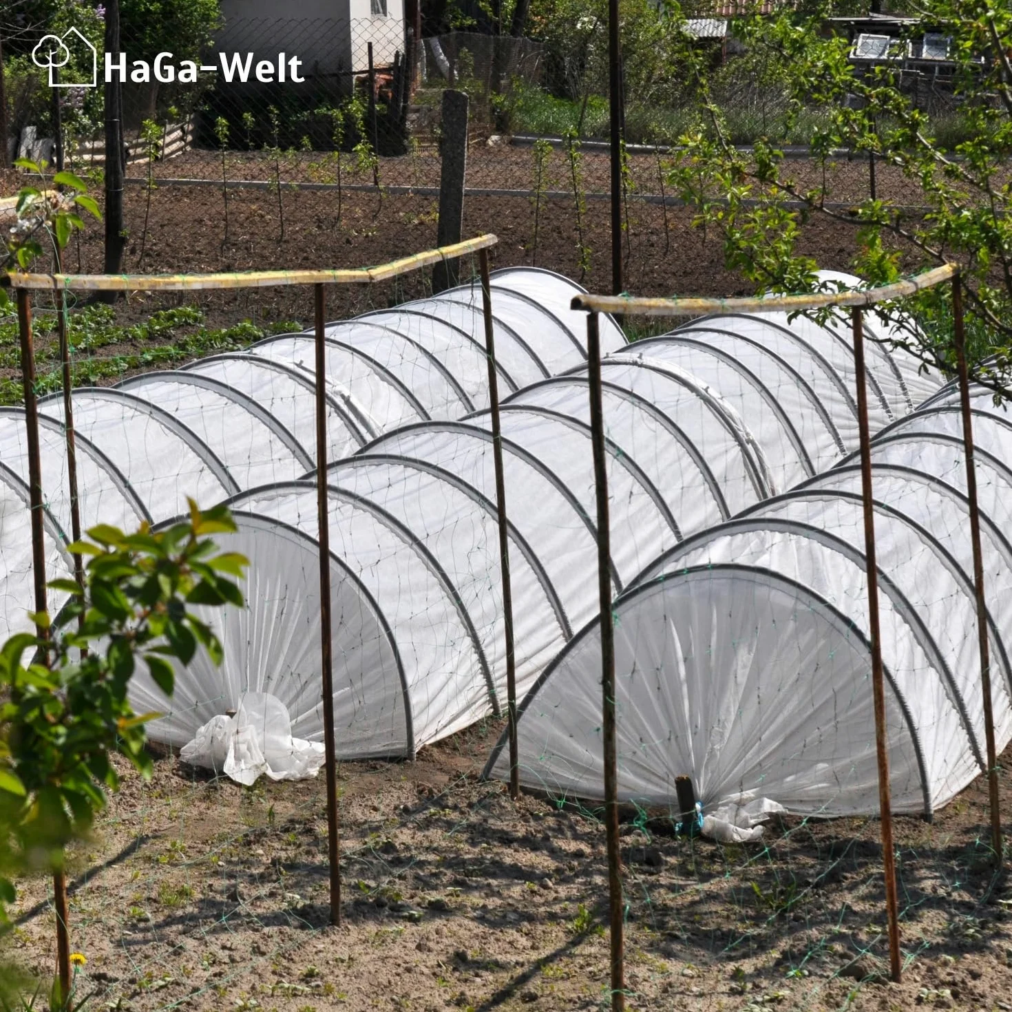 HaGa Pellicola per serra UV5, 6 m x 10 m, in polietilene trasparente, come tunnel di pellicola, serra, pomodori, resistente alle intemperie, ai raggi UV